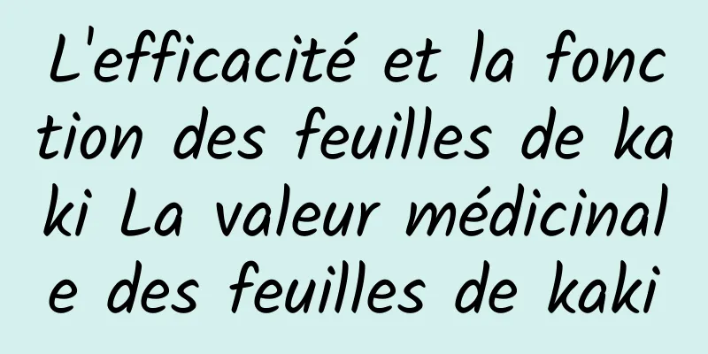 L'efficacité et la fonction des feuilles de kaki La valeur médicinale des feuilles de kaki