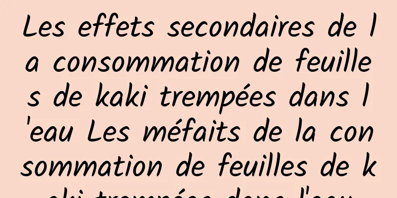 Les effets secondaires de la consommation de feuilles de kaki trempées dans l'eau Les méfaits de la consommation de feuilles de kaki trempées dans l'eau