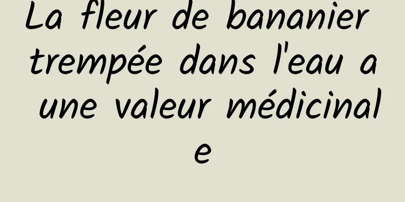 La fleur de bananier trempée dans l'eau a une valeur médicinale