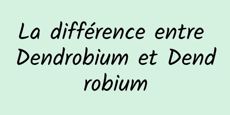 La différence entre Dendrobium et Dendrobium