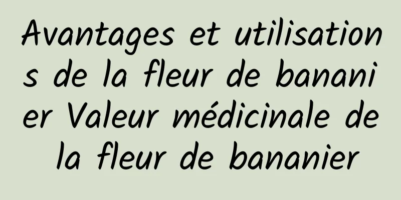 Avantages et utilisations de la fleur de bananier Valeur médicinale de la fleur de bananier