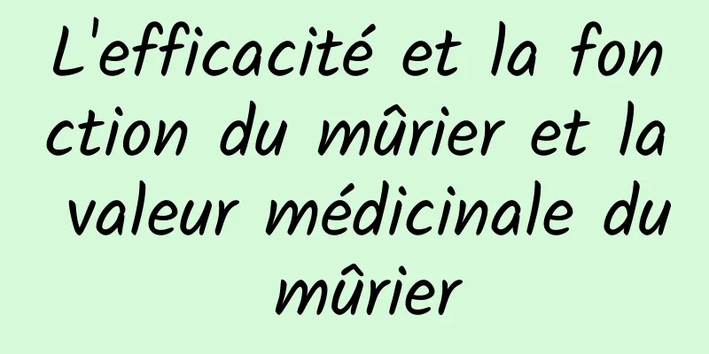 L'efficacité et la fonction du mûrier et la valeur médicinale du mûrier