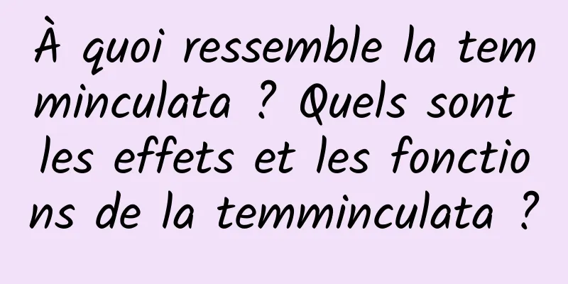 À quoi ressemble la temminculata ? Quels sont les effets et les fonctions de la temminculata ?