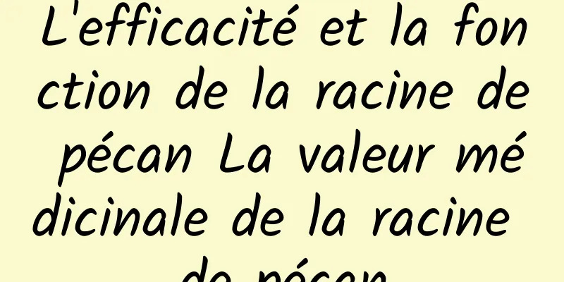 L'efficacité et la fonction de la racine de pécan La valeur médicinale de la racine de pécan