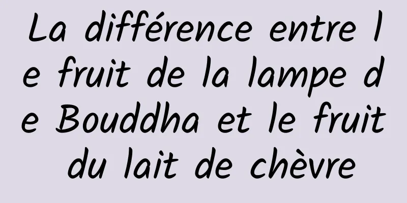 La différence entre le fruit de la lampe de Bouddha et le fruit du lait de chèvre