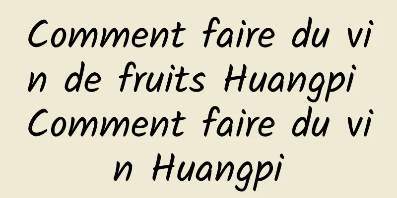 Comment faire du vin de fruits Huangpi Comment faire du vin Huangpi