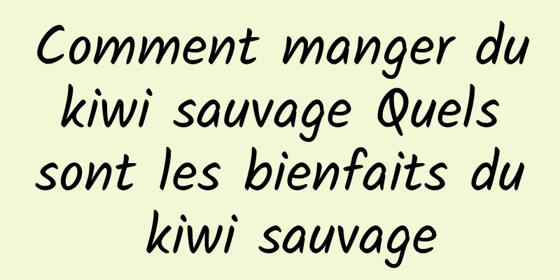 Comment manger du kiwi sauvage Quels sont les bienfaits du kiwi sauvage