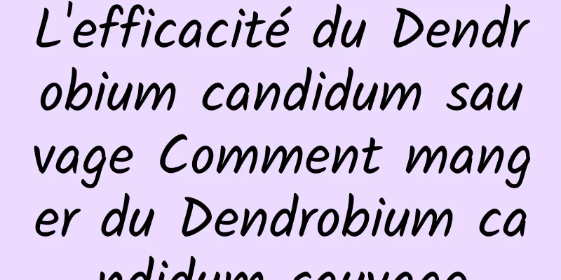 L'efficacité du Dendrobium candidum sauvage Comment manger du Dendrobium candidum sauvage