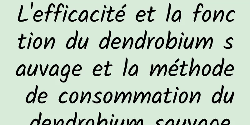 L'efficacité et la fonction du dendrobium sauvage et la méthode de consommation du dendrobium sauvage