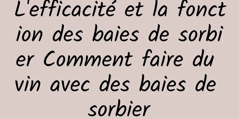 L'efficacité et la fonction des baies de sorbier Comment faire du vin avec des baies de sorbier