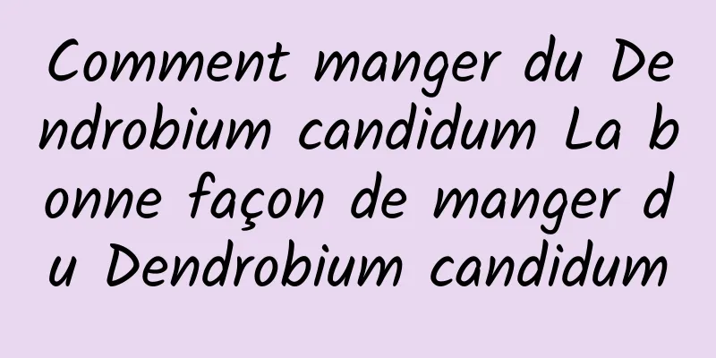 Comment manger du Dendrobium candidum La bonne façon de manger du Dendrobium candidum