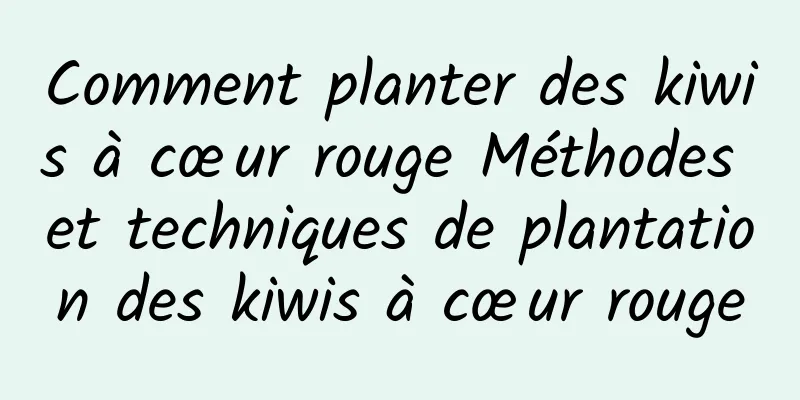 Comment planter des kiwis à cœur rouge Méthodes et techniques de plantation des kiwis à cœur rouge