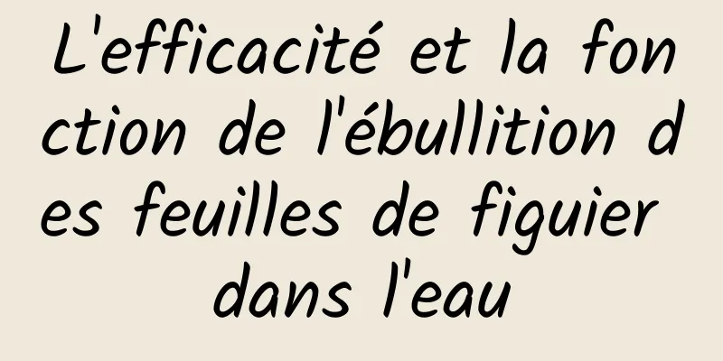 L'efficacité et la fonction de l'ébullition des feuilles de figuier dans l'eau