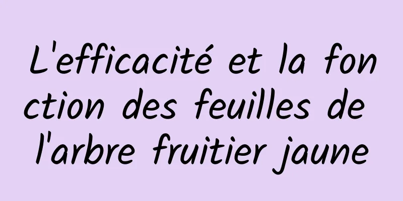 L'efficacité et la fonction des feuilles de l'arbre fruitier jaune