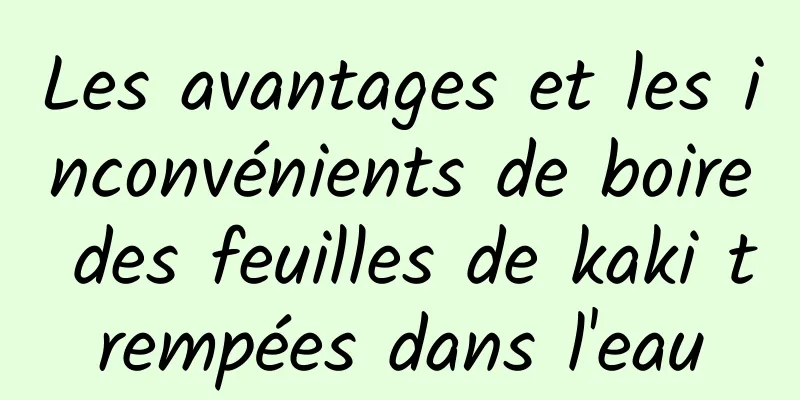 Les avantages et les inconvénients de boire des feuilles de kaki trempées dans l'eau