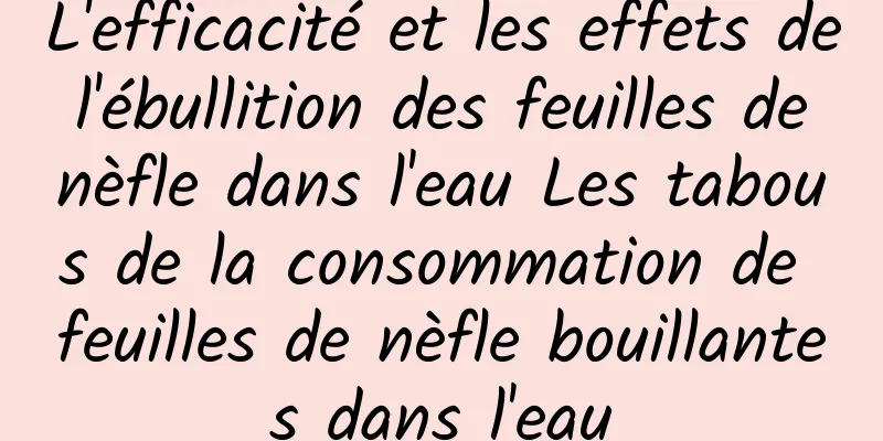 L'efficacité et les effets de l'ébullition des feuilles de nèfle dans l'eau Les tabous de la consommation de feuilles de nèfle bouillantes dans l'eau