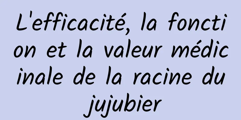 L'efficacité, la fonction et la valeur médicinale de la racine du jujubier