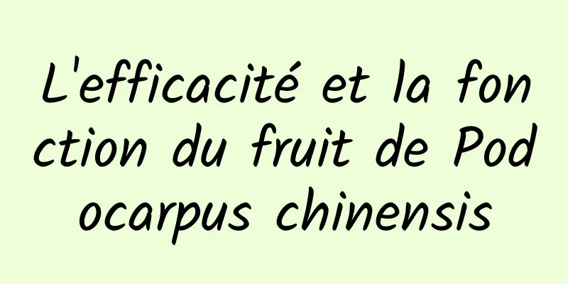 L'efficacité et la fonction du fruit de Podocarpus chinensis