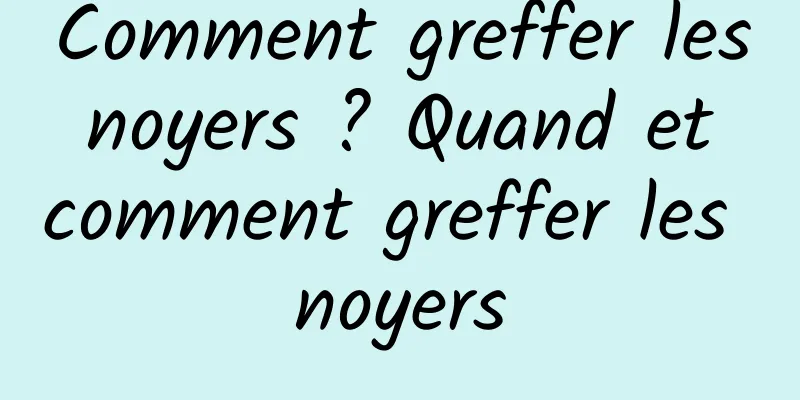 Comment greffer les noyers ? Quand et comment greffer les noyers