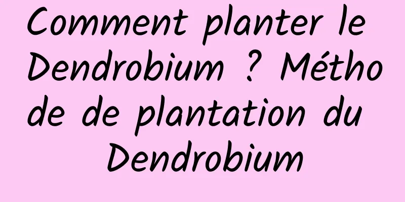 Comment planter le Dendrobium ? Méthode de plantation du Dendrobium