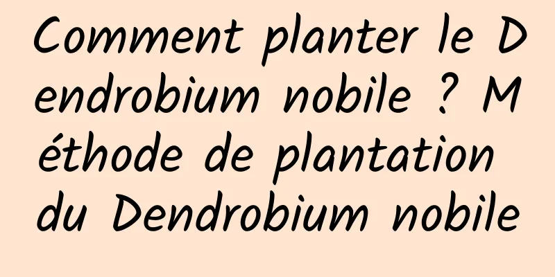 Comment planter le Dendrobium nobile ? Méthode de plantation du Dendrobium nobile