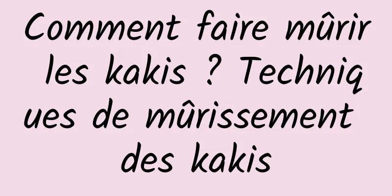 Comment faire mûrir les kakis ? Techniques de mûrissement des kakis