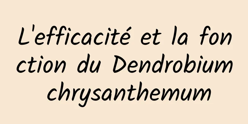 L'efficacité et la fonction du Dendrobium chrysanthemum