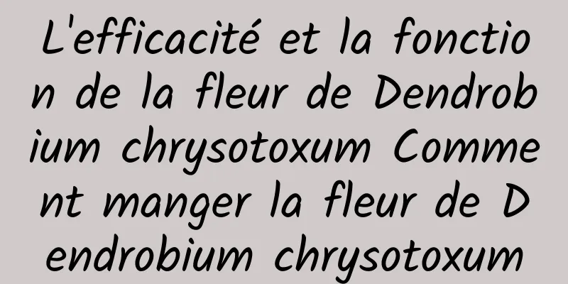 L'efficacité et la fonction de la fleur de Dendrobium chrysotoxum Comment manger la fleur de Dendrobium chrysotoxum