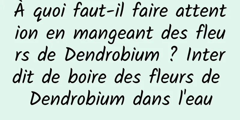 À quoi faut-il faire attention en mangeant des fleurs de Dendrobium ? Interdit de boire des fleurs de Dendrobium dans l'eau