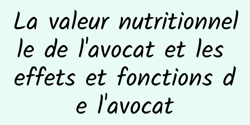 La valeur nutritionnelle de l'avocat et les effets et fonctions de l'avocat