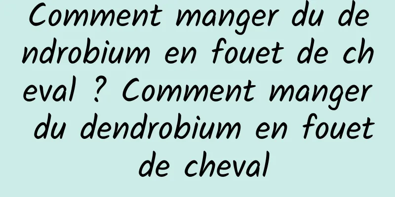 Comment manger du dendrobium en fouet de cheval ? Comment manger du dendrobium en fouet de cheval