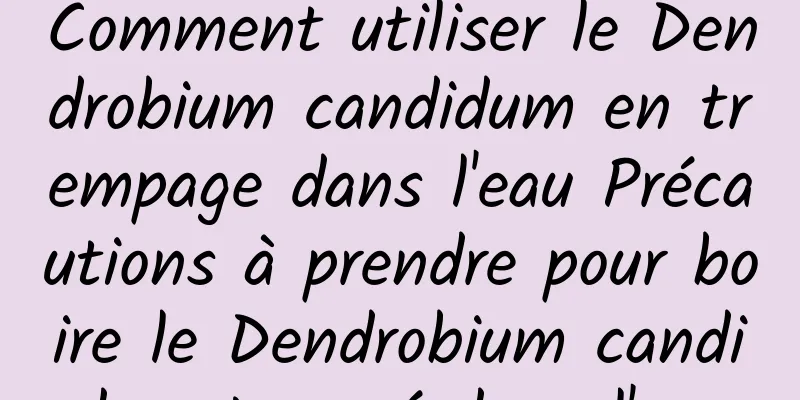 Comment utiliser le Dendrobium candidum en trempage dans l'eau Précautions à prendre pour boire le Dendrobium candidum trempé dans l'eau