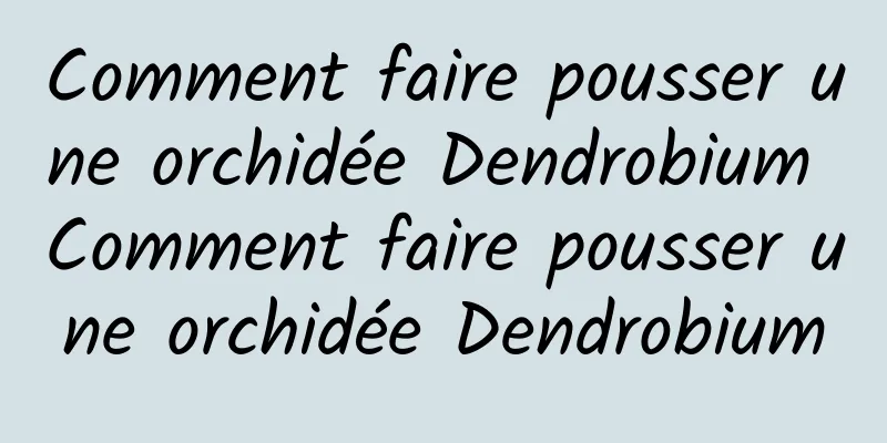 Comment faire pousser une orchidée Dendrobium Comment faire pousser une orchidée Dendrobium