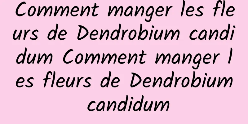 Comment manger les fleurs de Dendrobium candidum Comment manger les fleurs de Dendrobium candidum