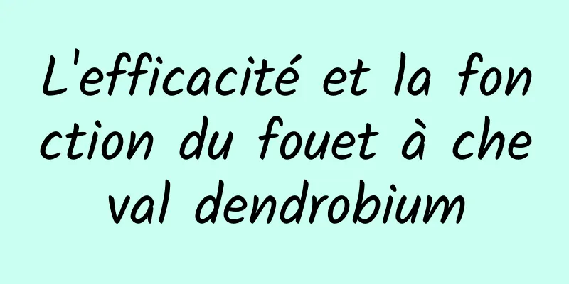 L'efficacité et la fonction du fouet à cheval dendrobium