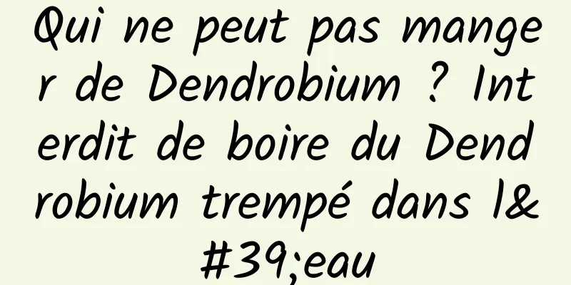 Qui ne peut pas manger de Dendrobium ? Interdit de boire du Dendrobium trempé dans l'eau