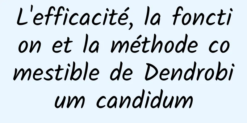 L'efficacité, la fonction et la méthode comestible de Dendrobium candidum