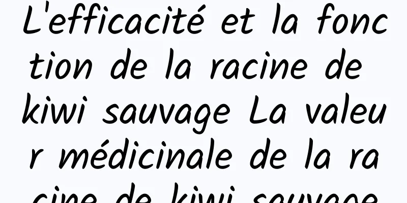 L'efficacité et la fonction de la racine de kiwi sauvage La valeur médicinale de la racine de kiwi sauvage