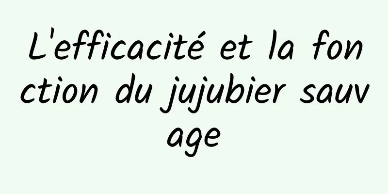 L'efficacité et la fonction du jujubier sauvage