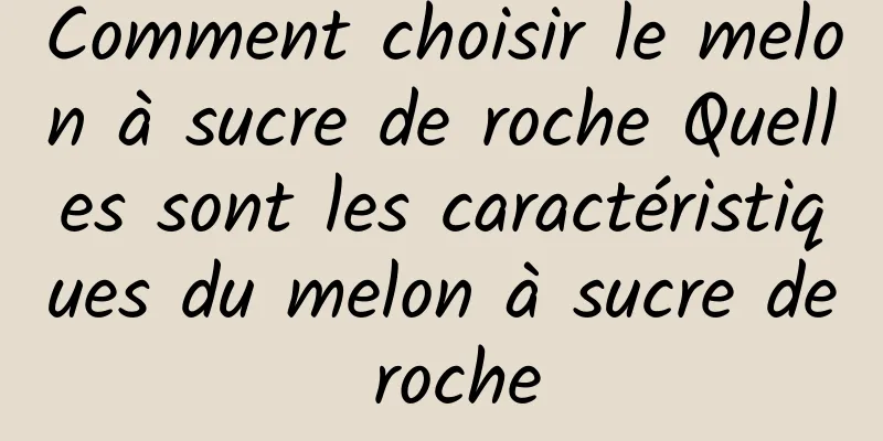 Comment choisir le melon à sucre de roche Quelles sont les caractéristiques du melon à sucre de roche