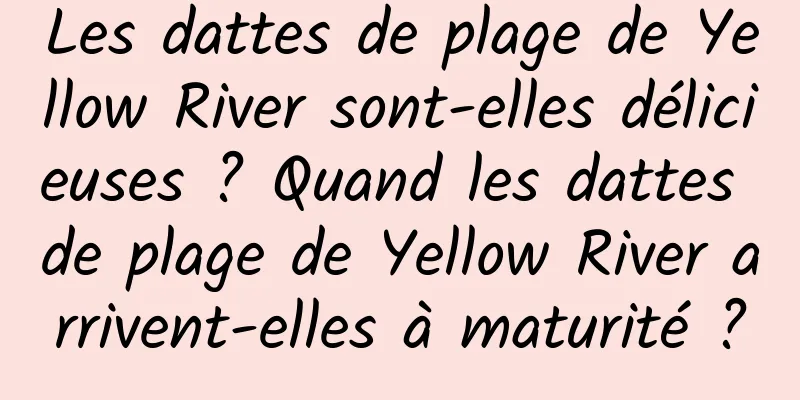 Les dattes de plage de Yellow River sont-elles délicieuses ? Quand les dattes de plage de Yellow River arrivent-elles à maturité ?