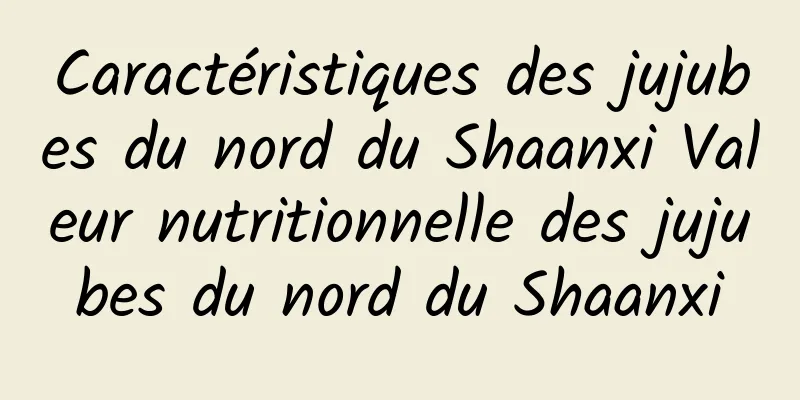 Caractéristiques des jujubes du nord du Shaanxi Valeur nutritionnelle des jujubes du nord du Shaanxi