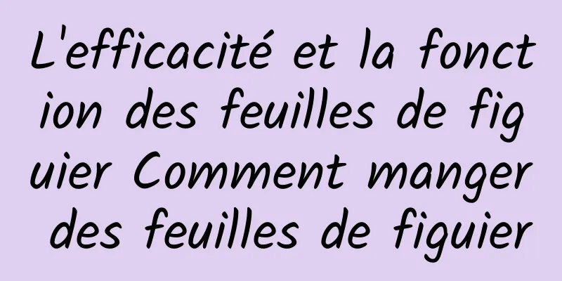 L'efficacité et la fonction des feuilles de figuier Comment manger des feuilles de figuier