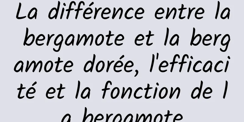 La différence entre la bergamote et la bergamote dorée, l'efficacité et la fonction de la bergamote