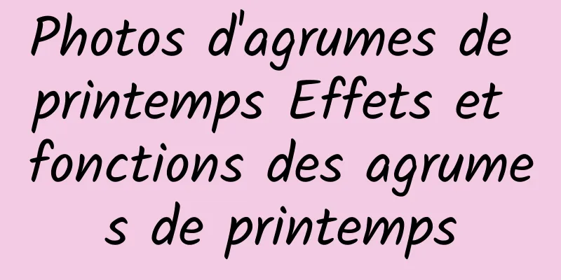 Photos d'agrumes de printemps Effets et fonctions des agrumes de printemps