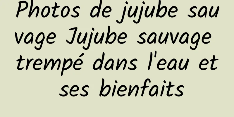 Photos de jujube sauvage Jujube sauvage trempé dans l'eau et ses bienfaits