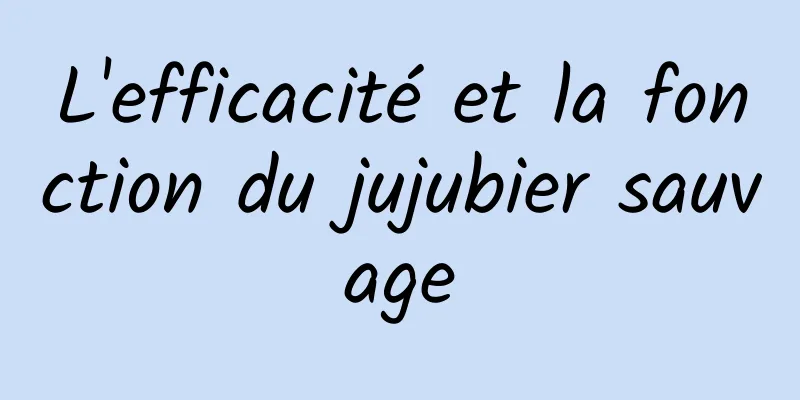 L'efficacité et la fonction du jujubier sauvage