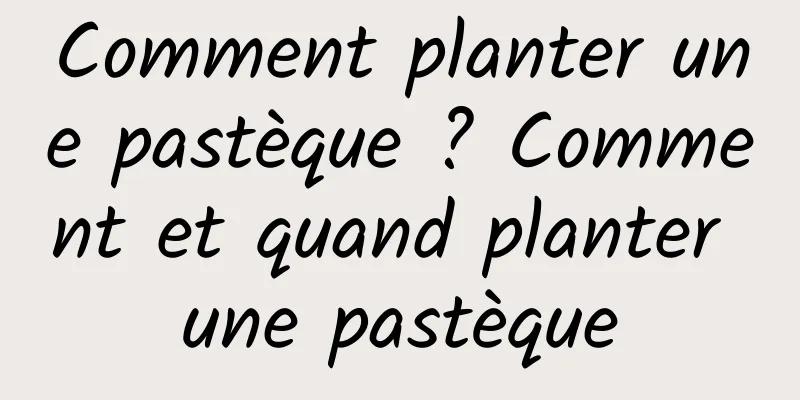 Comment planter une pastèque ? Comment et quand planter une pastèque