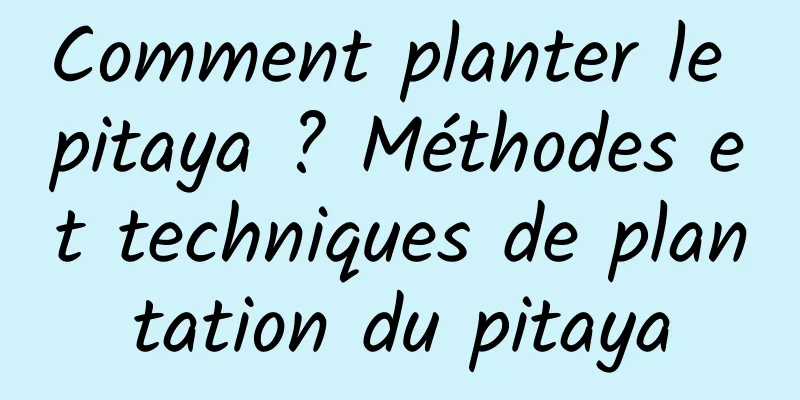 Comment planter le pitaya ? Méthodes et techniques de plantation du pitaya