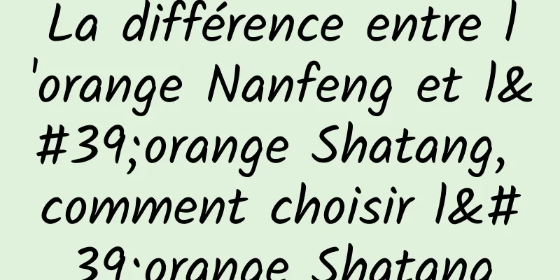 La différence entre l'orange Nanfeng et l'orange Shatang, comment choisir l'orange Shatang